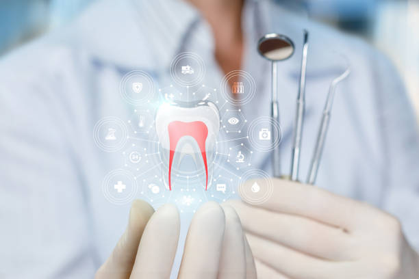  Wesley Hills, NY Holistic Dental Services Pros
